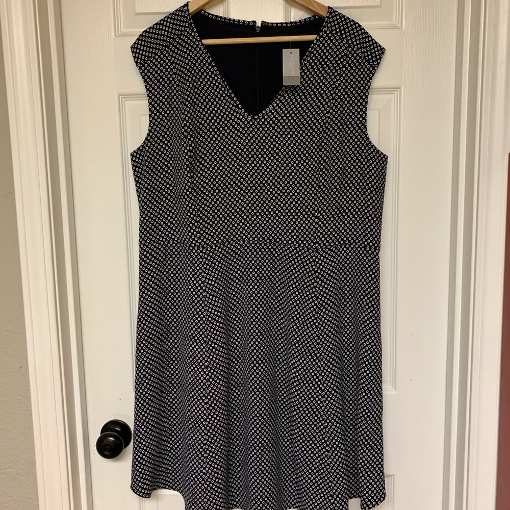 Ann Taylor fit and flair dress